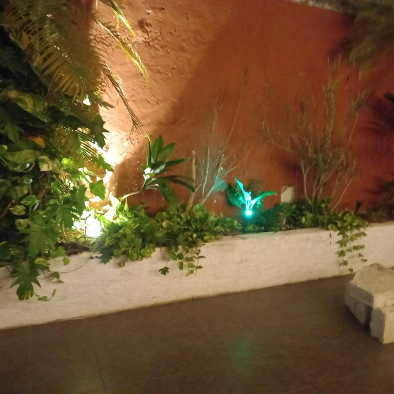 Hotel photo 46