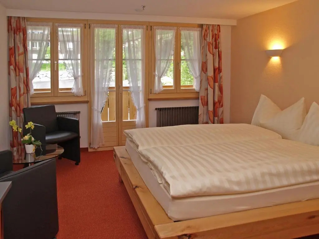 Standard Double room (full double bed)