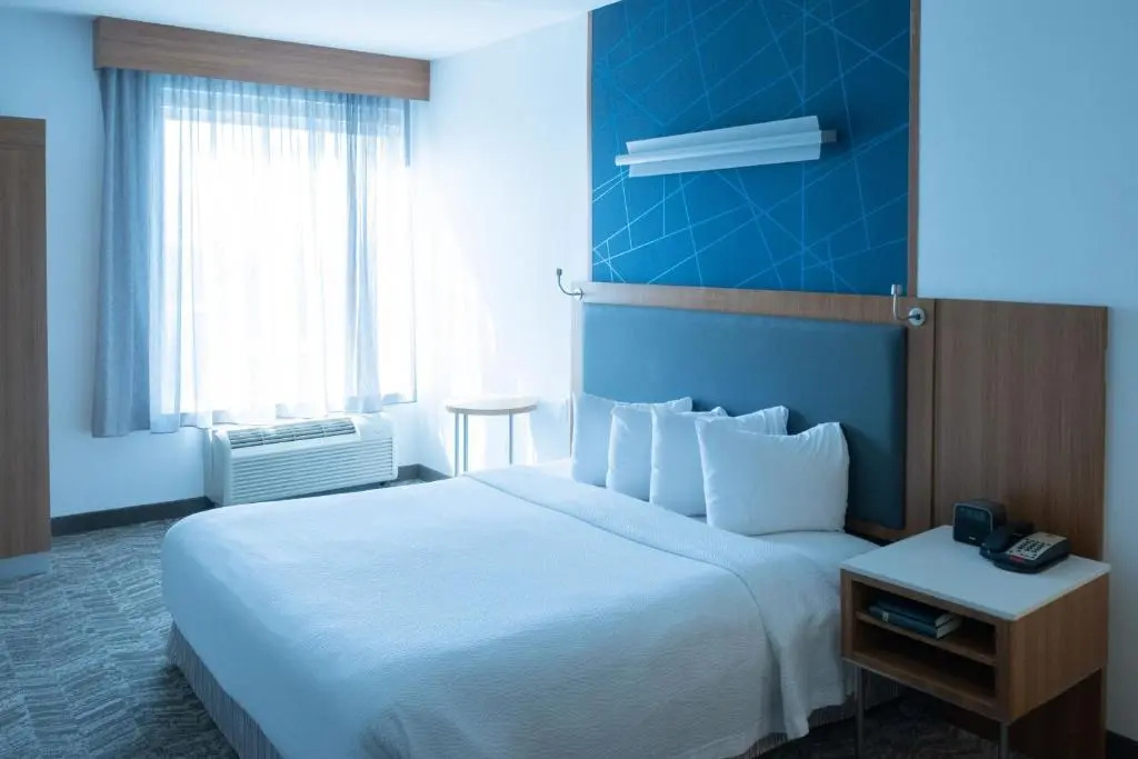 SpringHill Suites Dallas Lewisville - Chambres