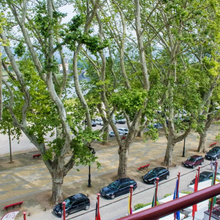 Hotel photo 30