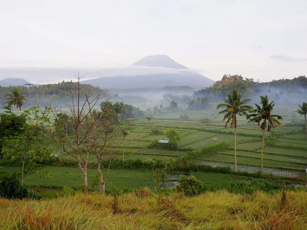 Indah Anugrah - фото 13