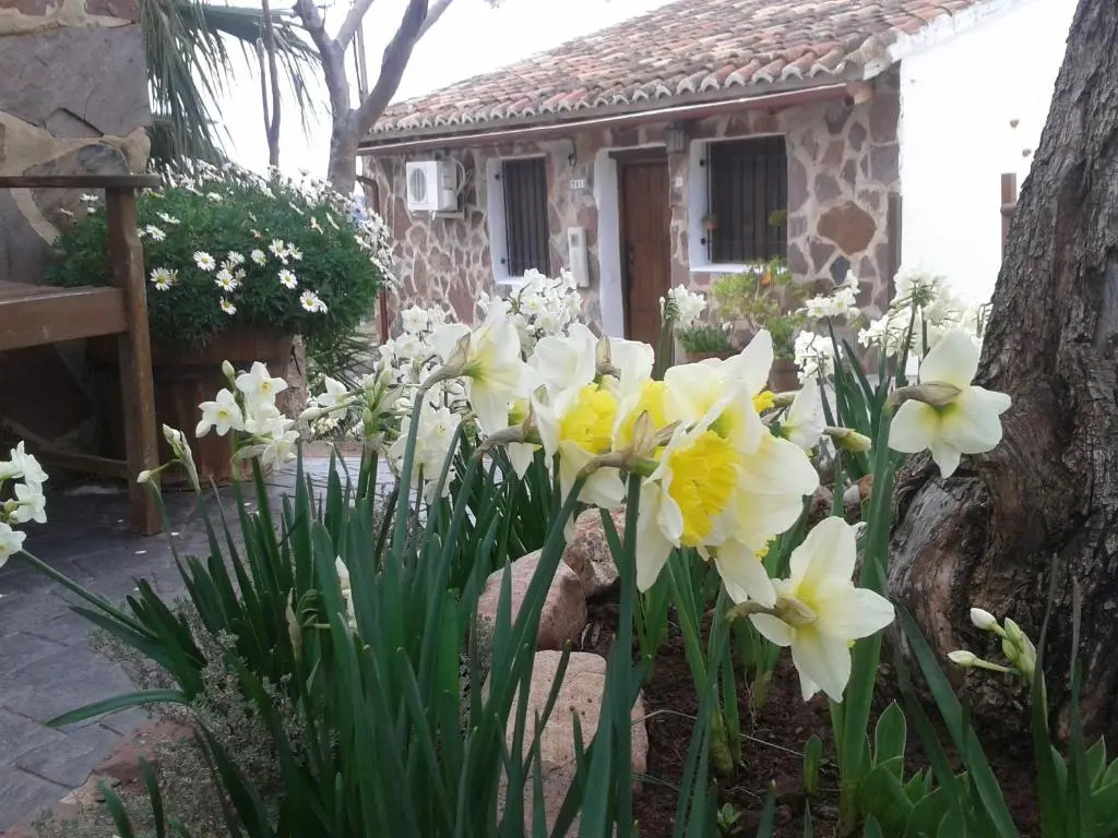 2 Bedrooms Cottage