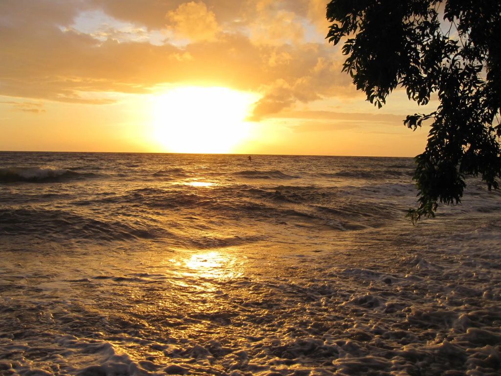 Beach & Waterfront
