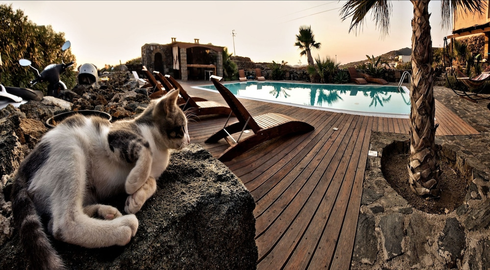 Hotel photo 46