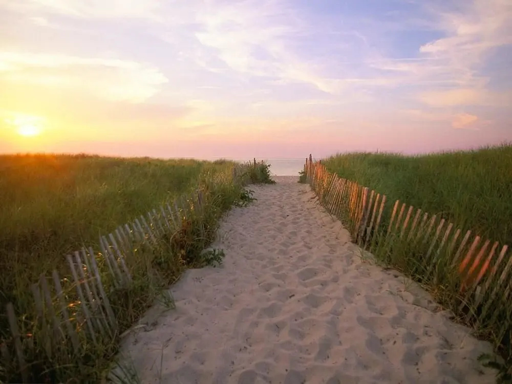Beach & Waterfront