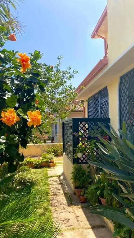 B&B Araxi - фото 10