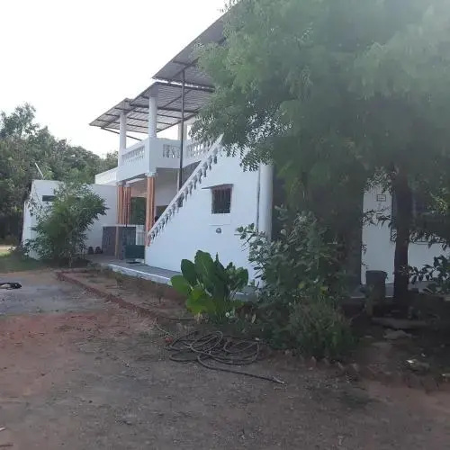 Blue Lotus Hostel