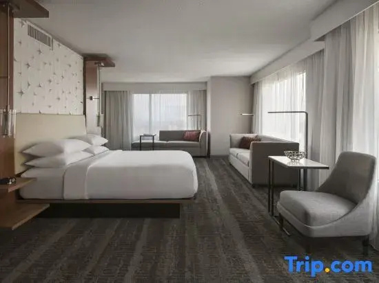 Standard Double Club room with city view (full double bed)