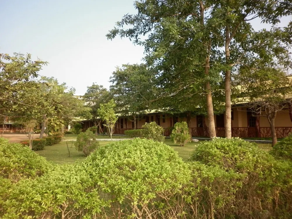 Wila Safari