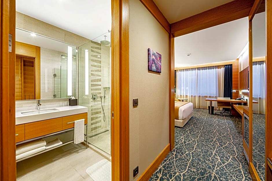 Двухместный номер Standard 2 отдельные кровати в Holiday İnn