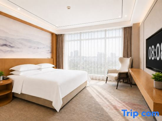 Standard Double room with city view (full double bed)