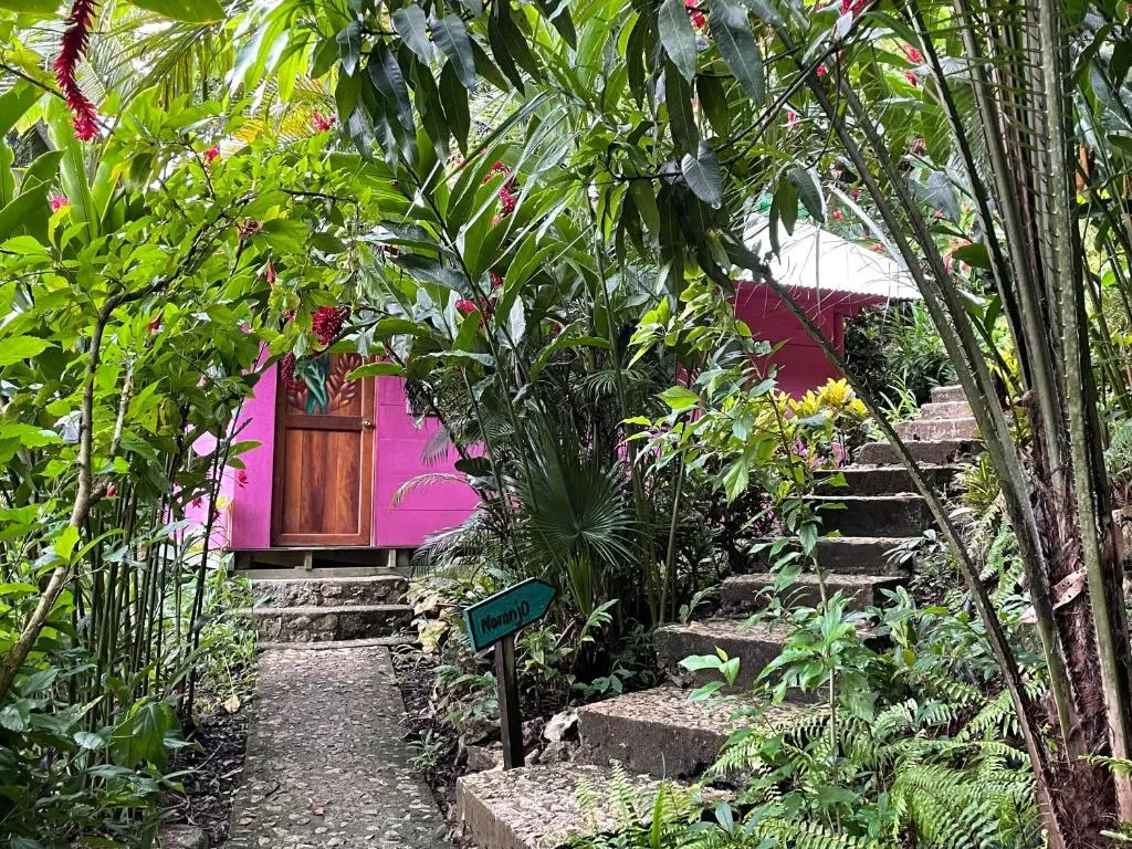 Palmeras del Río Hotel - Chambres