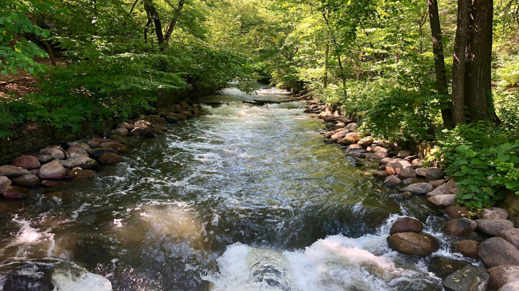 Crowne Plaza Suites MSP Airport - Mall of America by IHG - фото 29