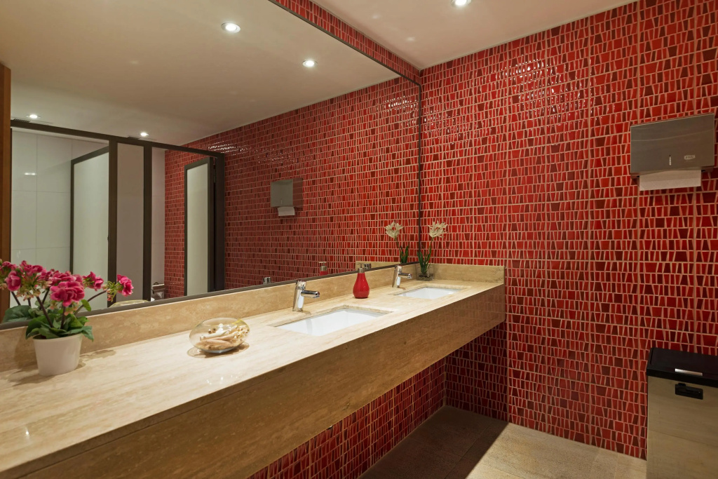 Atacama Suites - Général