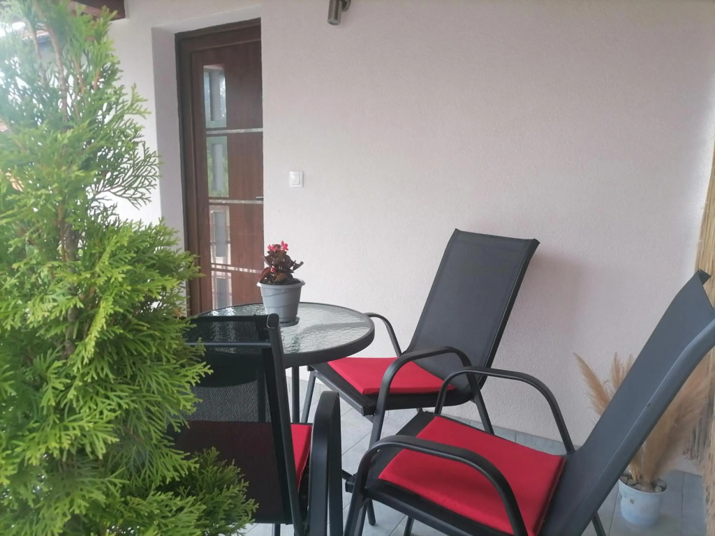 Apartman Savić