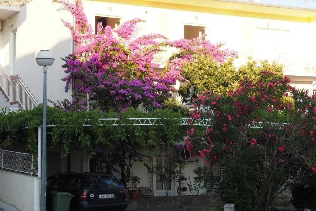 Apartmani Makarska