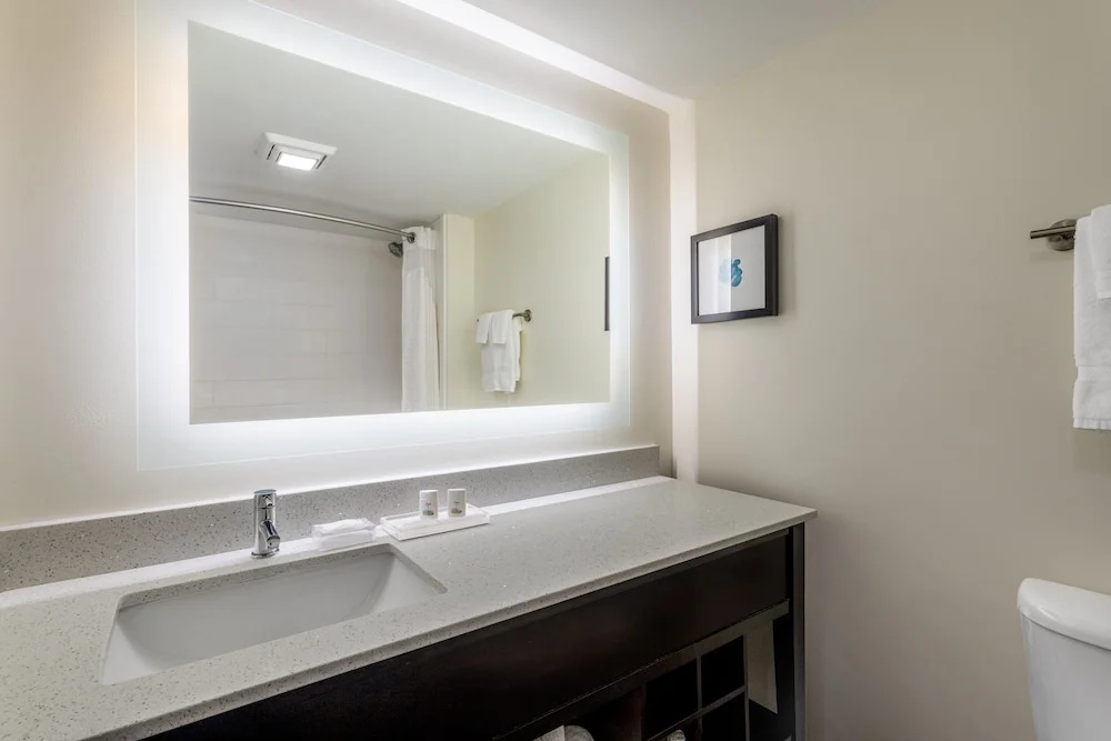 Holiday Inn Tampa North by IHG - Chambres