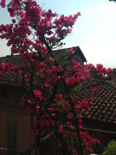 Centro Bellavista