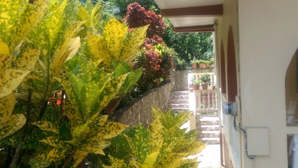 River Side House