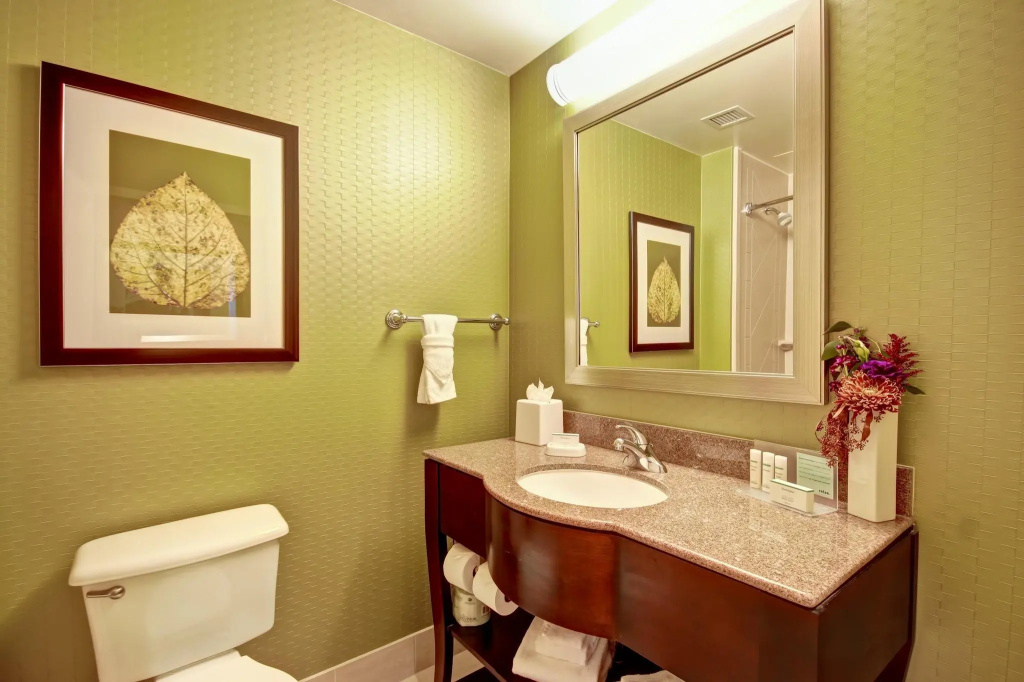 Hampton Inn & Suites Denver-Downtown - Général