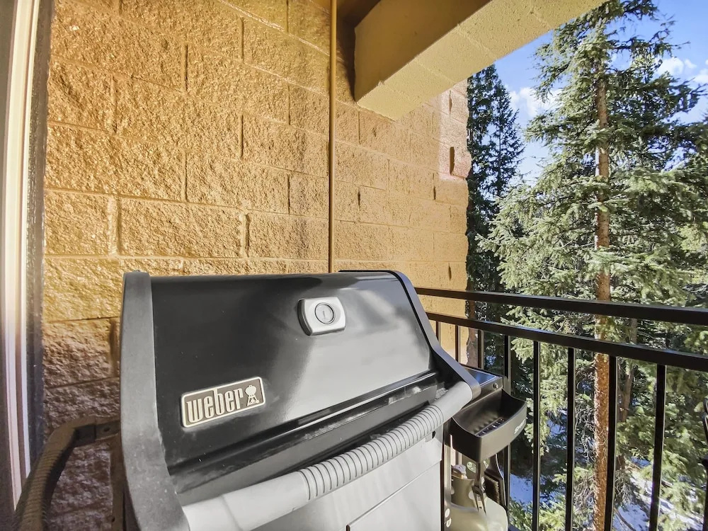 Powderhorn Condominium C302 2 Bedrooms 2 Bathrooms Condo