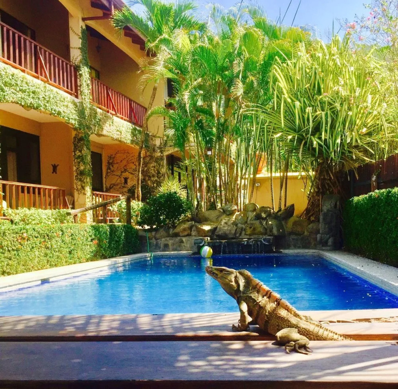 Hotel photo 14