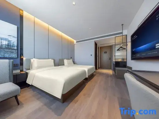 Executive Double room (twin beds)