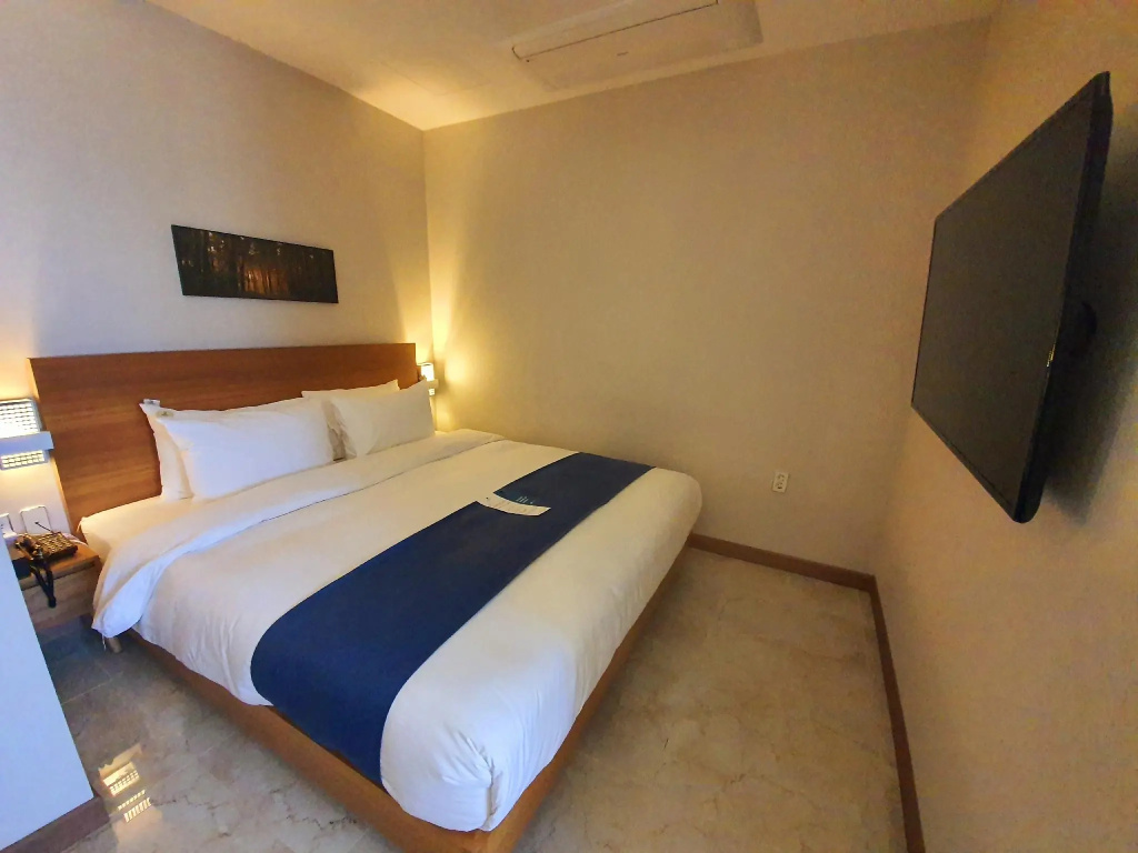 Deluxe Double room (full double bed)