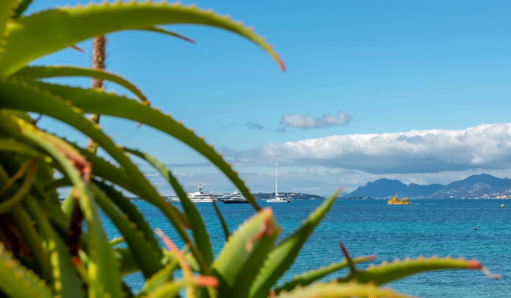 Beach & Waterfront
