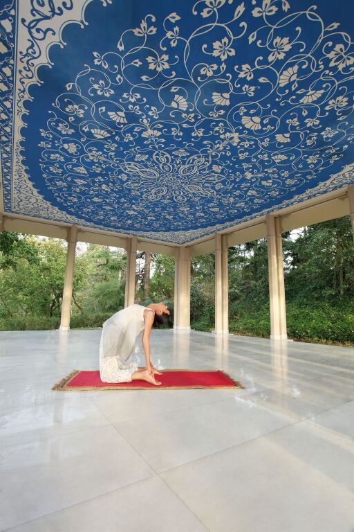 Ananda In The Himalayas