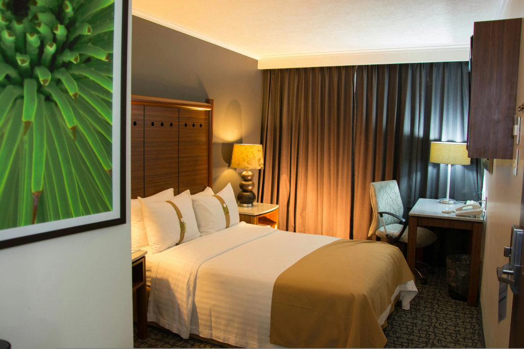 Holiday Inn Ciudad De Mexico-Trade Center by IHG - Général