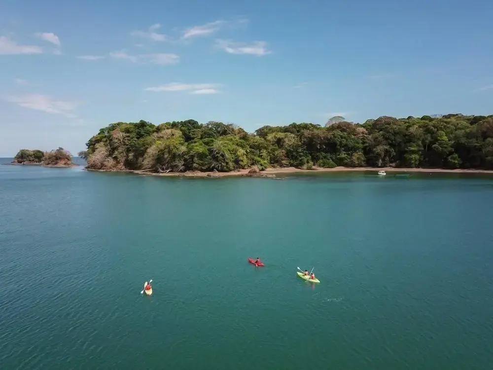 Isla Palenque Member of the Cayuga Collection