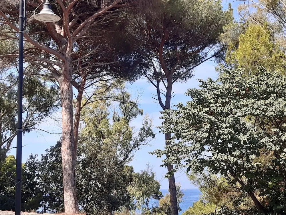 B&B Posidonia