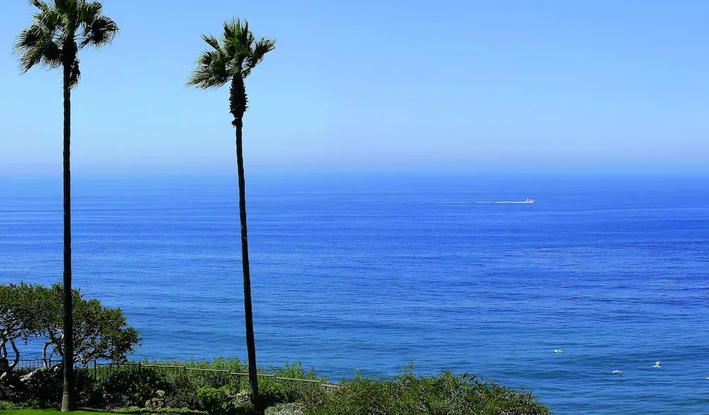 The Ritz-Carlton, Laguna Niguel - Chambres