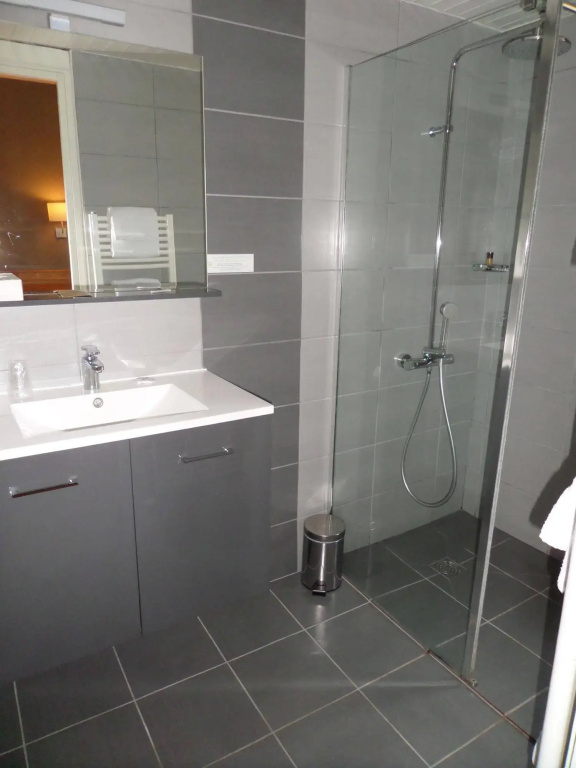 Brit Hotel Roanne - Le Grand Hotel - Général