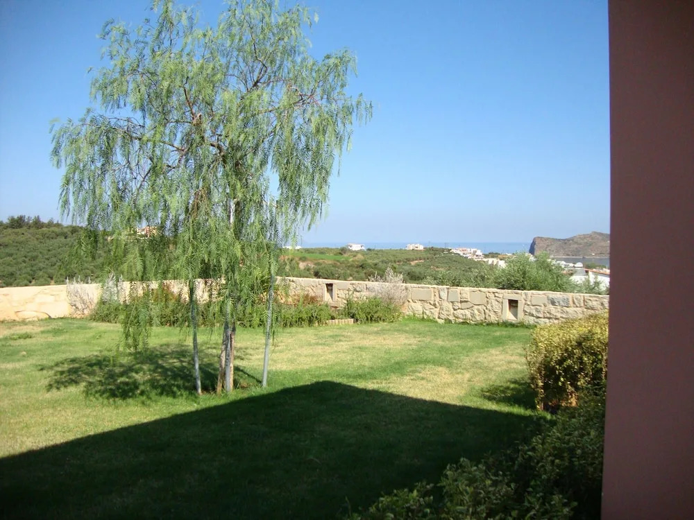 Image 17