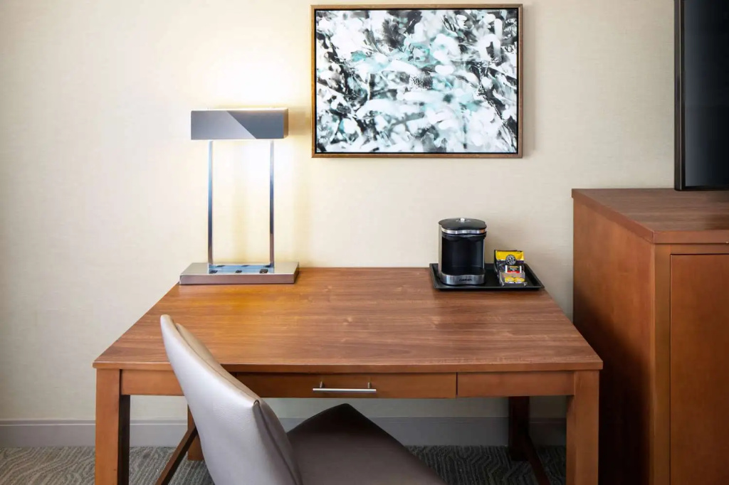DoubleTree by Hilton Ann Arbor North - Chambres