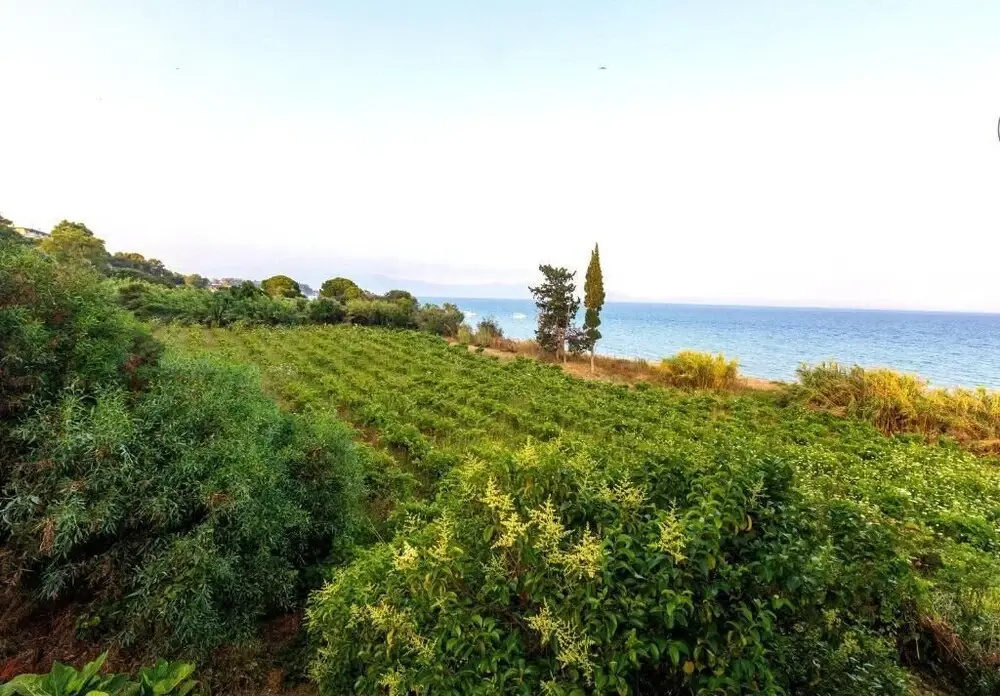 Seaheaven House A2 - Beachfront Nest Memi Koroni