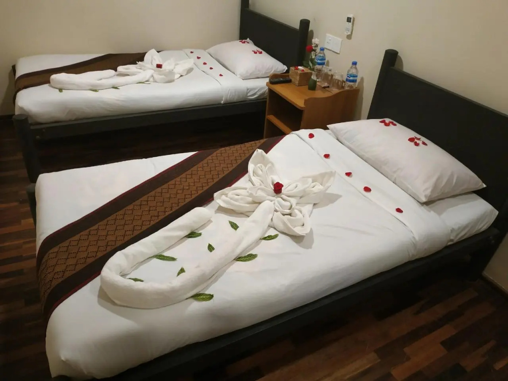 Standard Double room (twin beds)