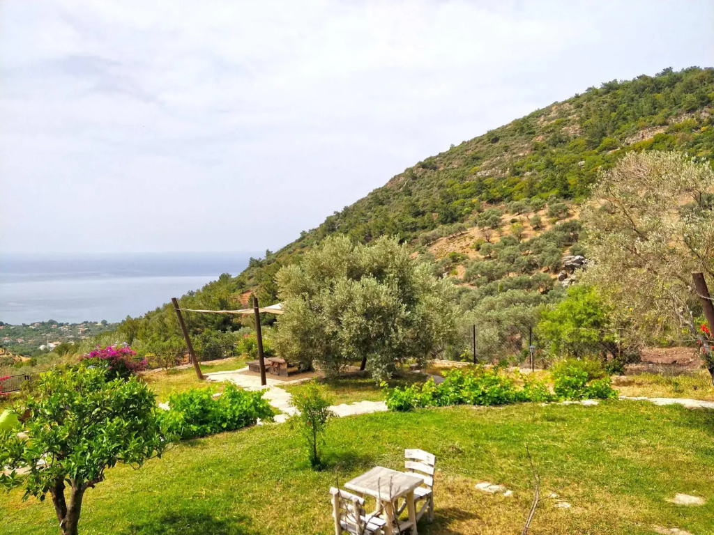 Hotel photo 33
