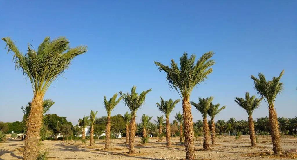 Art House — фото 6