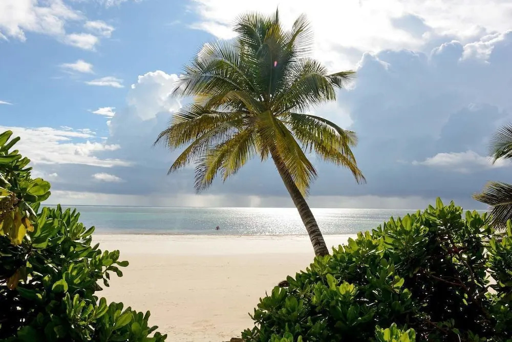 Hodi Hodi Zanzibar - Général