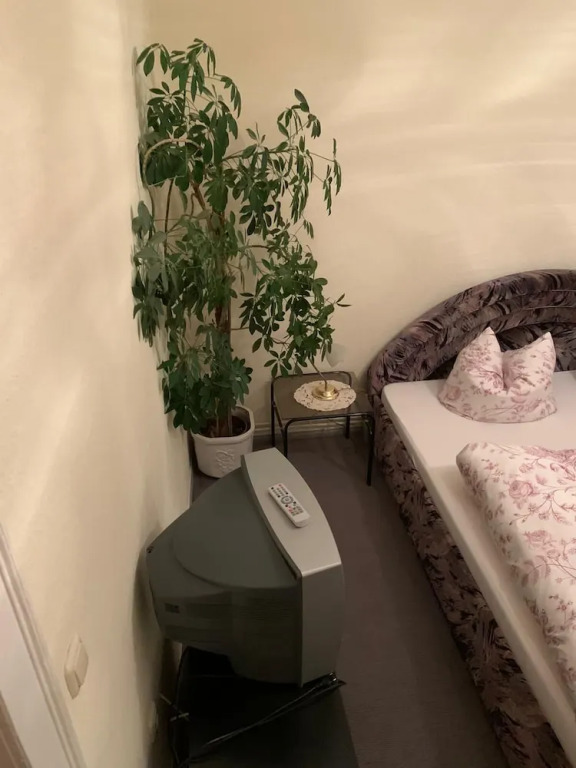 Haus zur Pfauen — фото 3