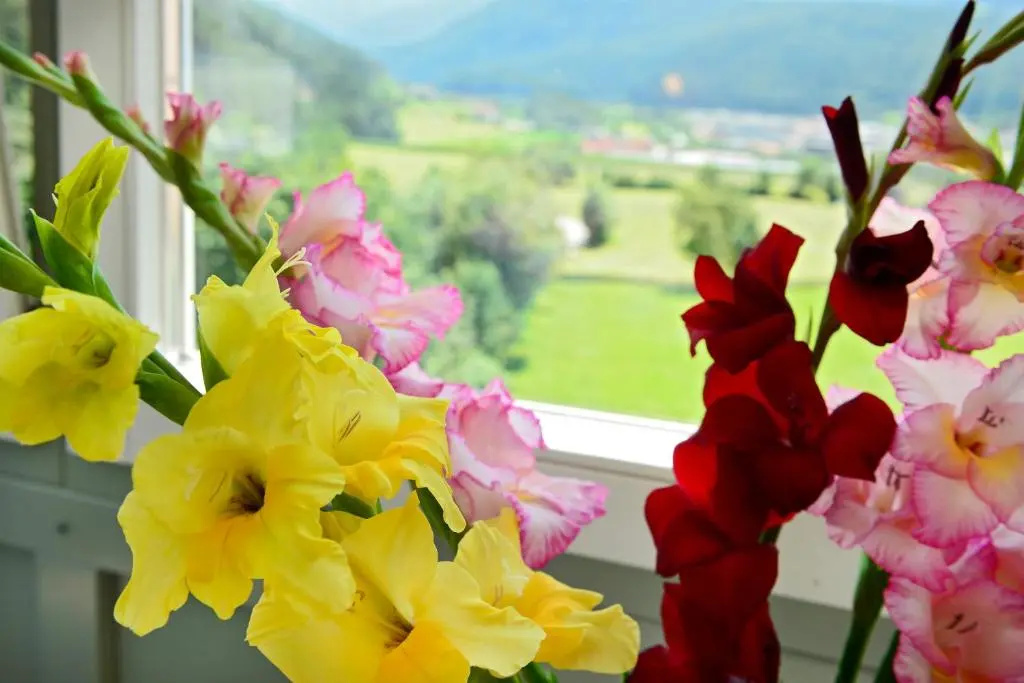 Hotel Gassenwirt - Chambres