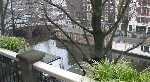 The Bridge - Général