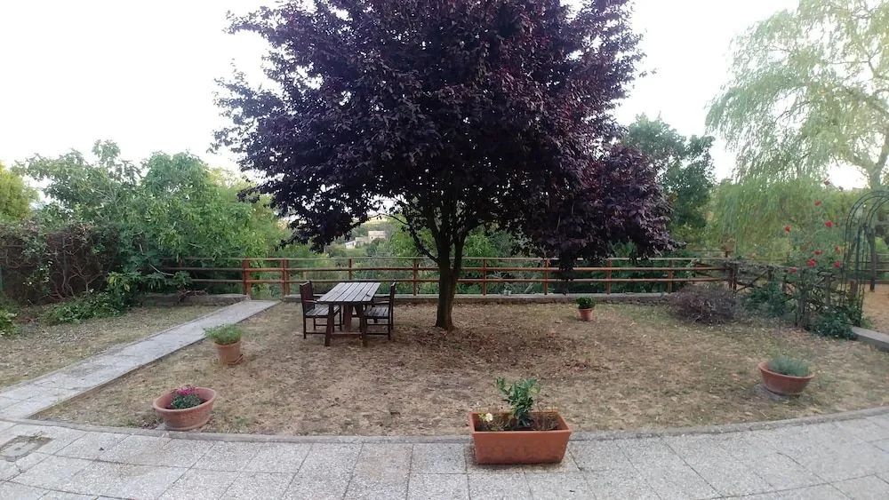 B&B Paternocchio