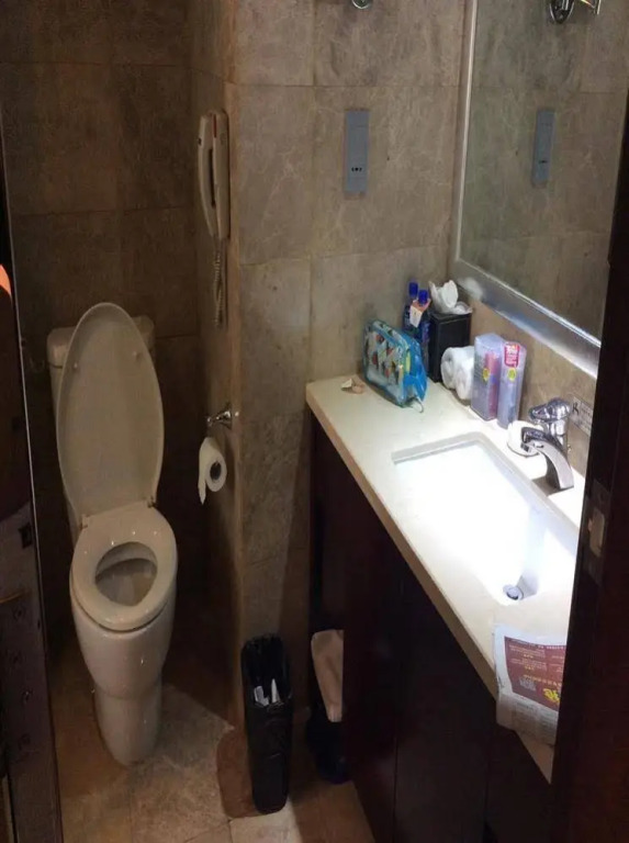 Phoenix Business Hotel - фото 9