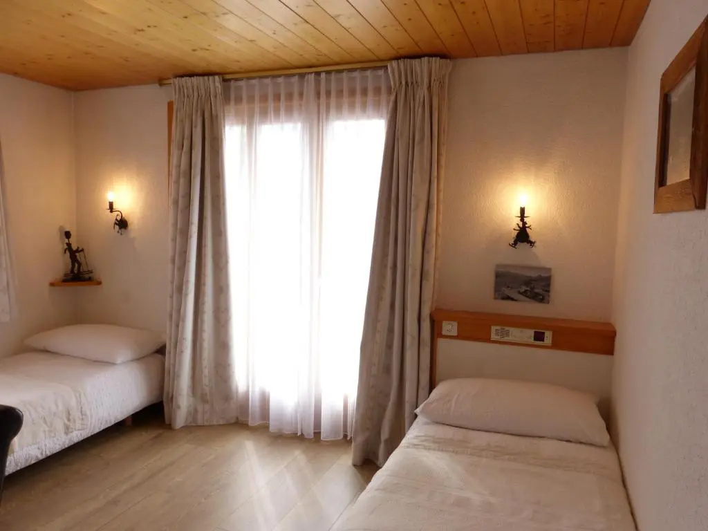 Standard Double room with mountain view (twin beds)