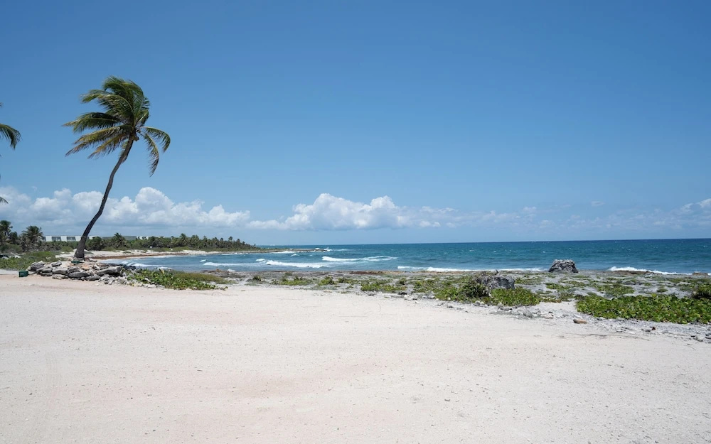 Beach & Waterfront