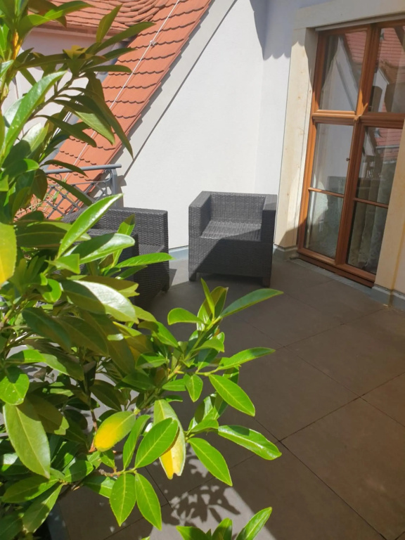 Modernes Apartment an der Frauenkirche